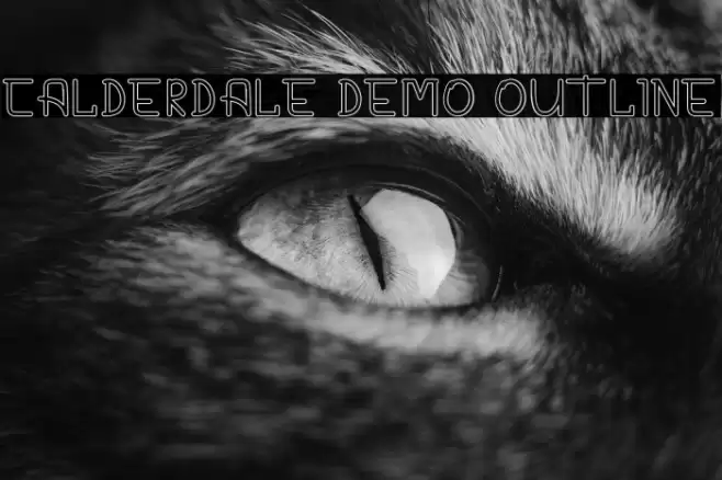CALDERDALE DEMO Outline Font examples