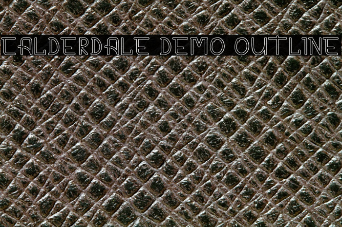 CALDERDALE DEMO Outline Example 3