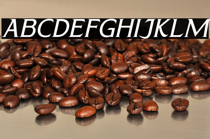 CALLIMBA Italic Example 2