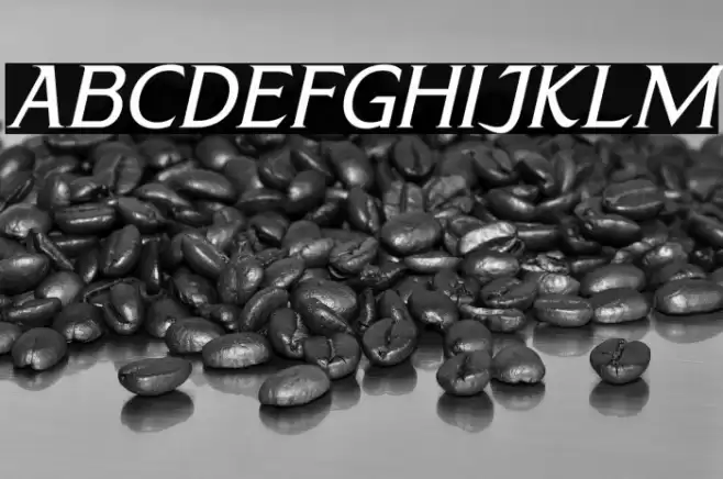 CALLIMBA Italic Font examples