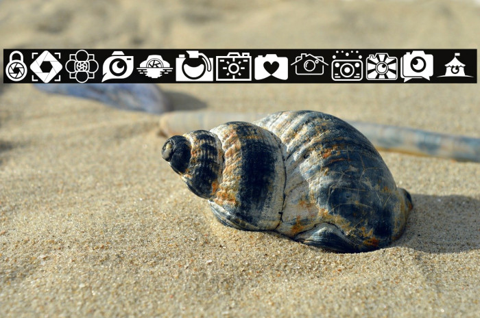 CAMERA - FOTOGRAAMI Example 1