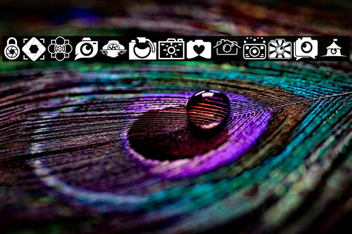 CAMERA - FOTOGRAAMI Example 2