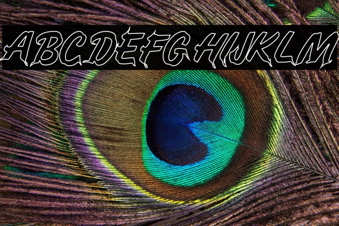 CAMS PUNKS Example 1