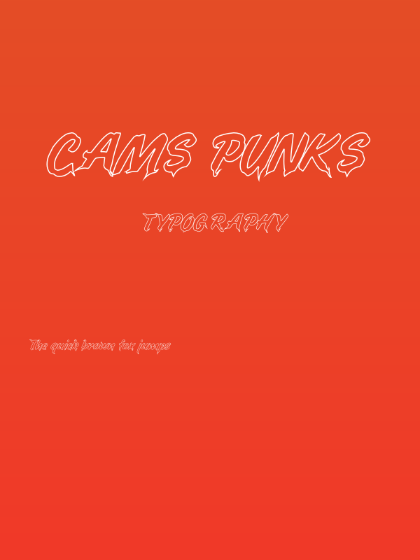 CAMS PUNKS Poster