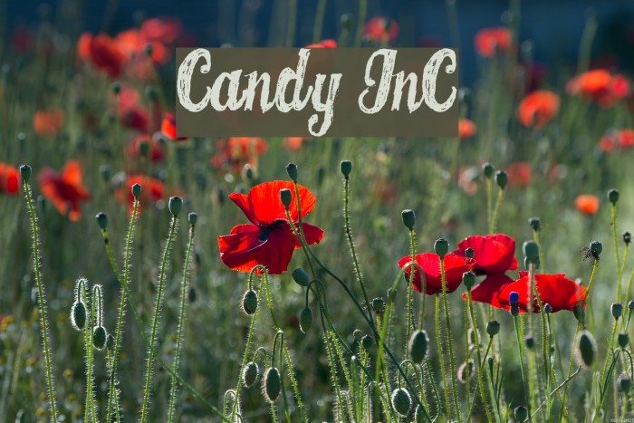 CANDY INC フォント examples