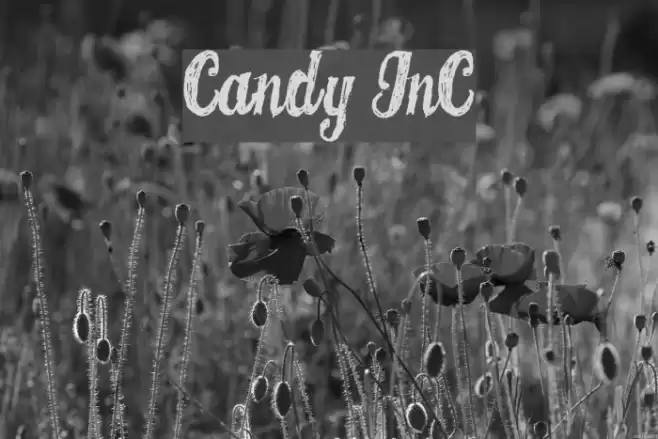 CANDY INC Fonte examples
