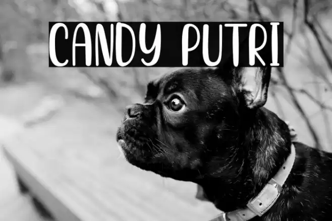 CANDY PUTRI Font examples