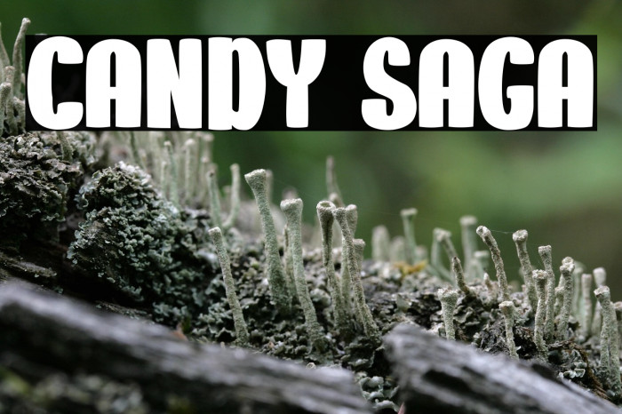 CANDY SAGA Example 1