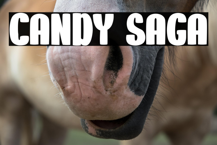 CANDY SAGA Example 2