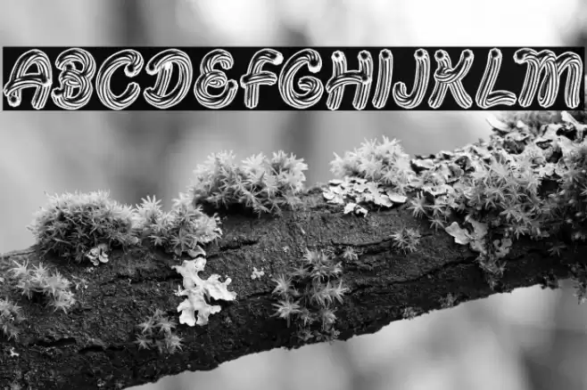 CANDYDAY BW PERSONAL USE Bold Font examples