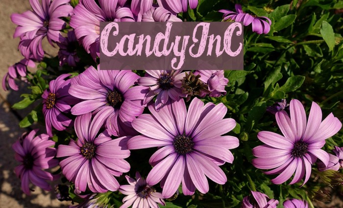 CANDYINC フォント examples