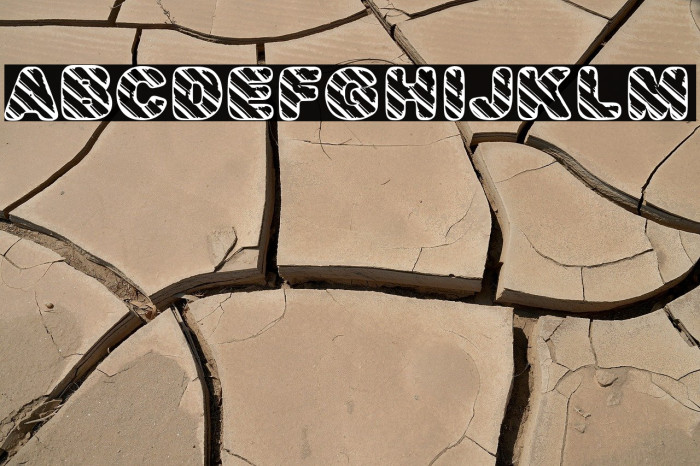 CANDYS BW PERSONAL USE Bold Example 3