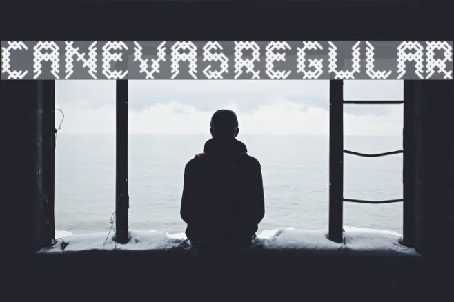 CANEVASRegular Example 3