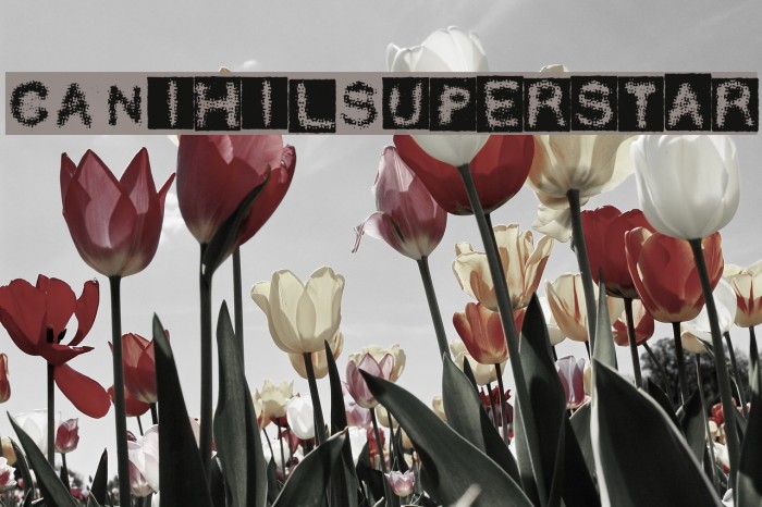 CANihilSuperstar Font examples