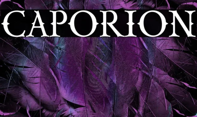 CAPORION Example 2
