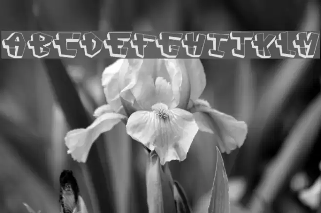 CAPconstruct Font examples