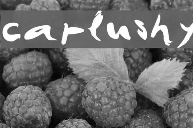 CAPlushy Font examples