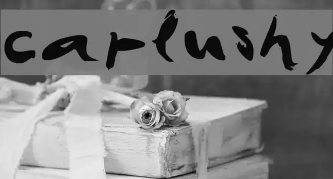 CAPlushy Font examples