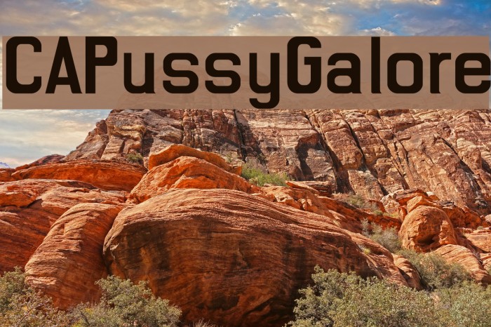 CAPussyGalore Font examples