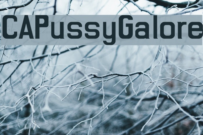 CAPussyGalore Font examples