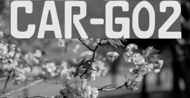 CAR-GO 2 Font examples