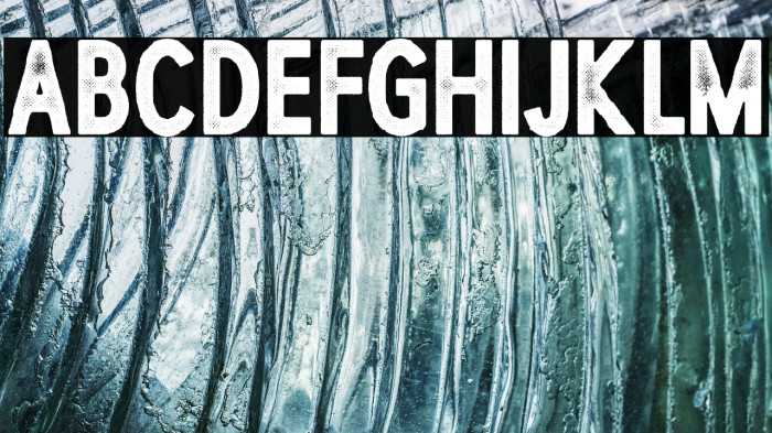 CARBON PERSONAL USE Bold Example 1