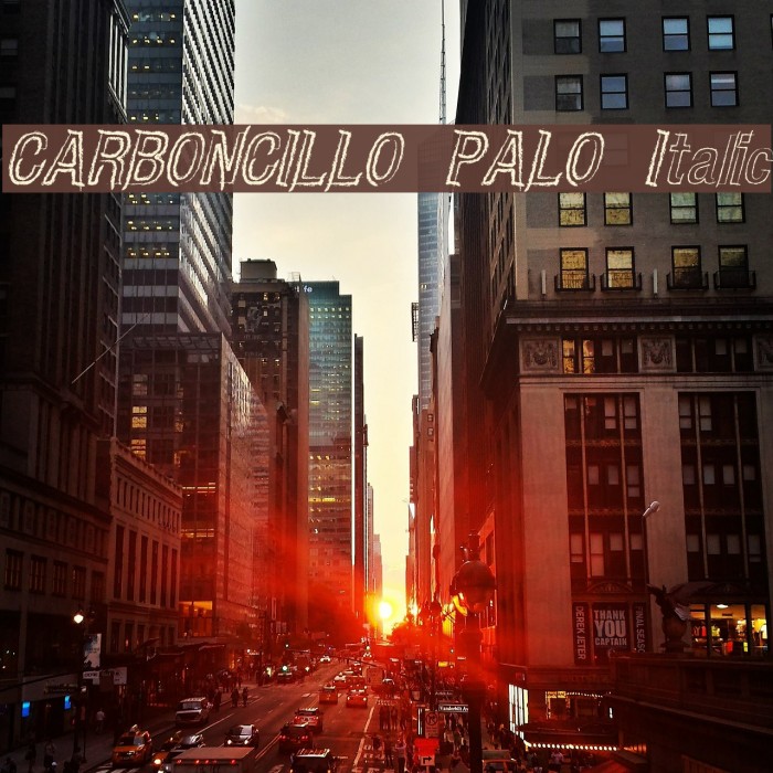 CARBONCILLO PALO Italic Font examples