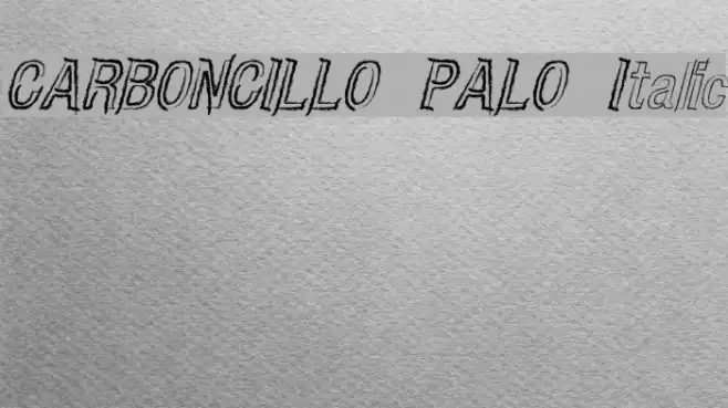 CARBONCILLO PALO Italic Caratteri examples