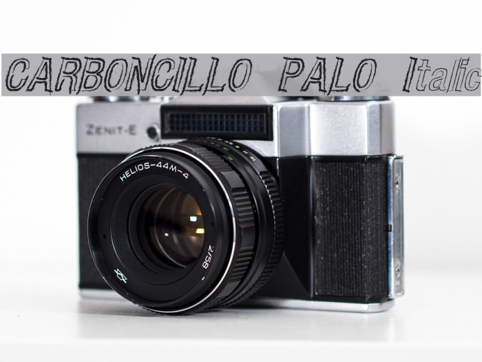 CARBONCILLO PALO Italic Font examples