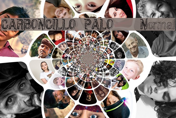 CARBONCILLO PALO Normal Font examples
