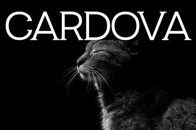 CARDOVA Font examples