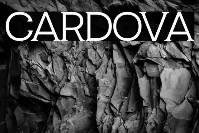CARDOVA Font examples