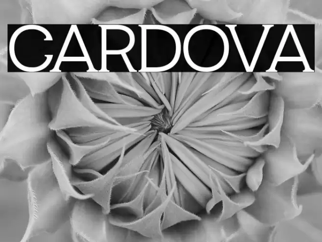 CARDOVA Font examples
