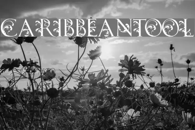 CARIBBEANTOOL Font examples