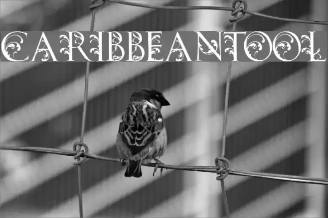 CARIBBEANTOOL Font examples