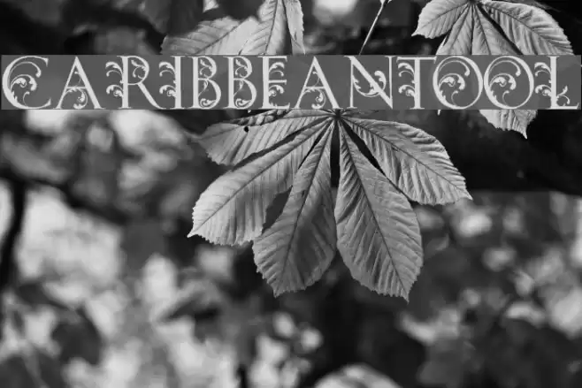 CARIBBEANTOOL Font examples