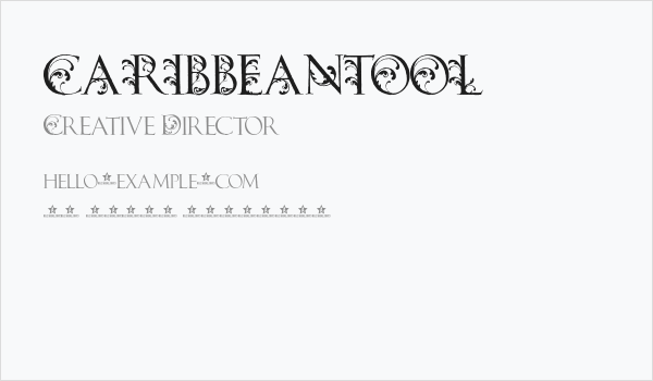 CARIBBEANTOOL Business Card
