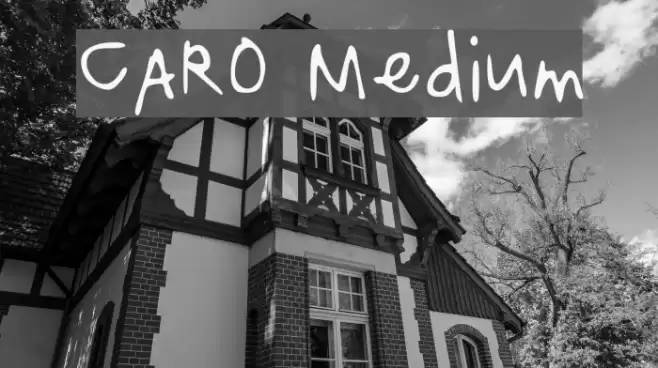 CARO Medium Font examples