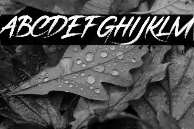 CAROCKS Font examples