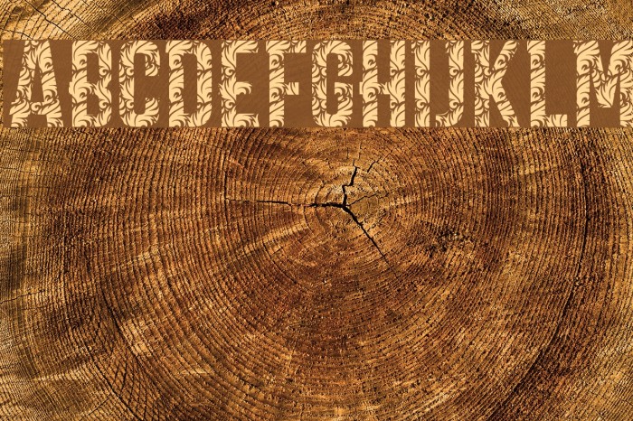 CARPE DIEM LUXURY demo Example 1