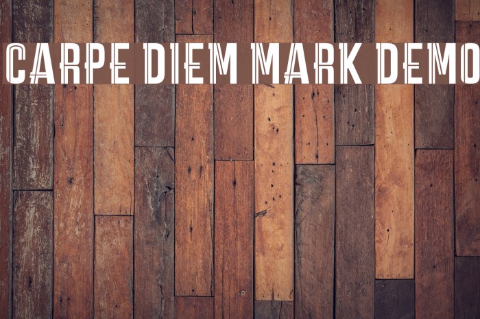 CARPE DIEM MARK DEMO Font examples