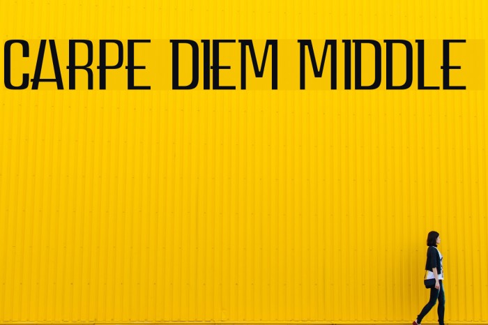 carpediemmiddledemo字体