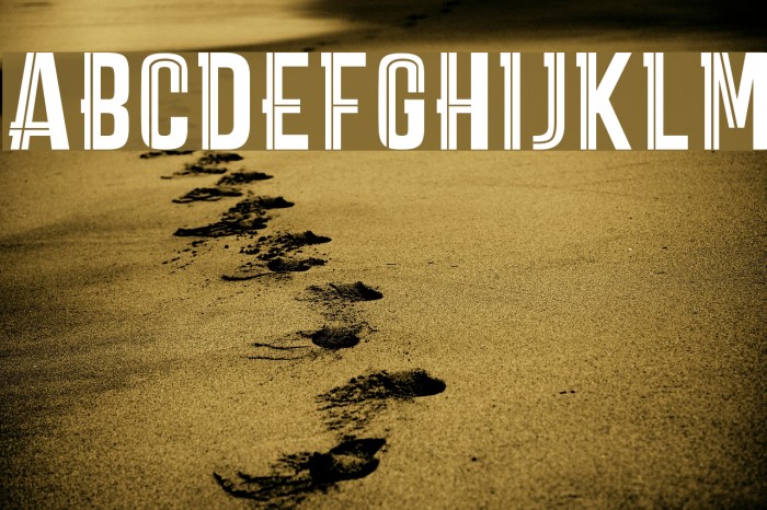 CARPEDIEMMARKDEMO Example 1