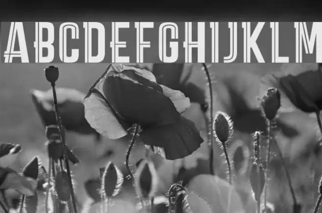 CARPEDIEMMARKDEMO Font examples