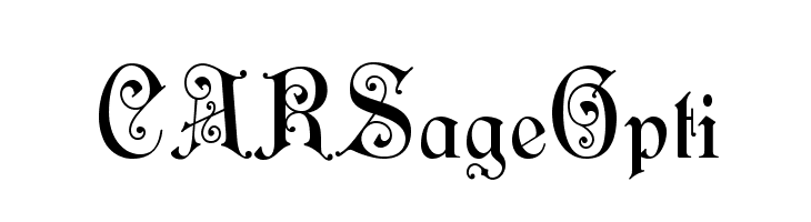 CARSageOpti Font