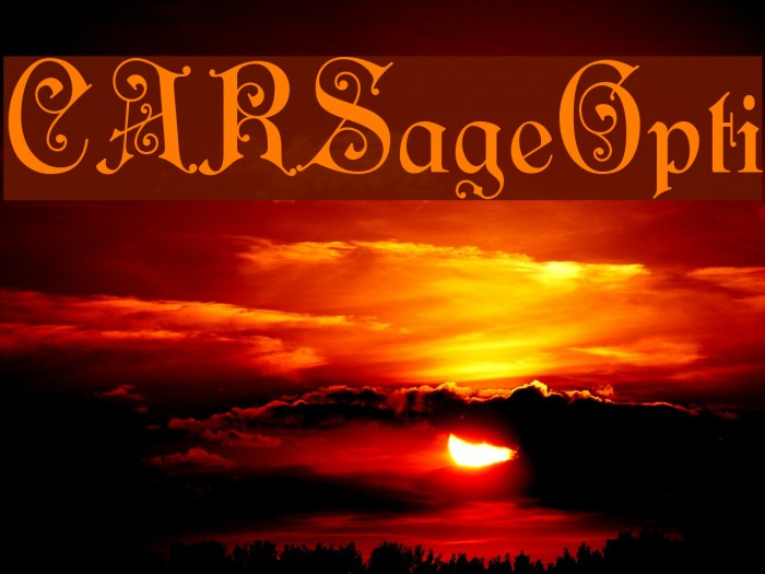 CARSageOpti Font examples