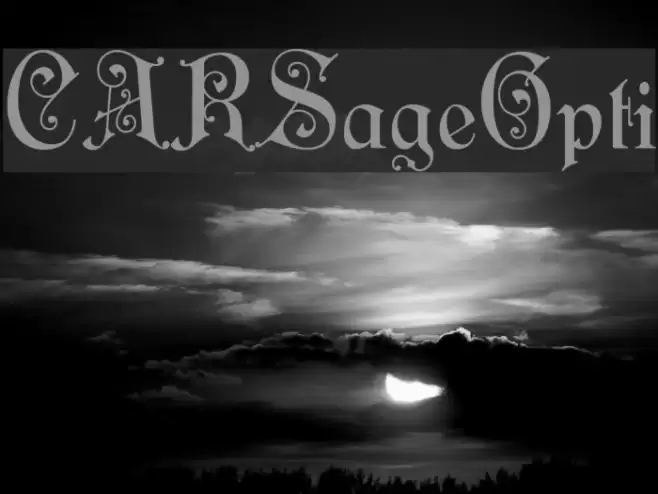 CARSageOpti Font examples