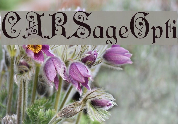 CARSageOpti Font examples