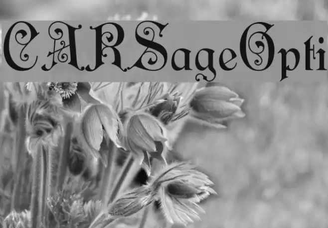 CARSageOpti Font examples