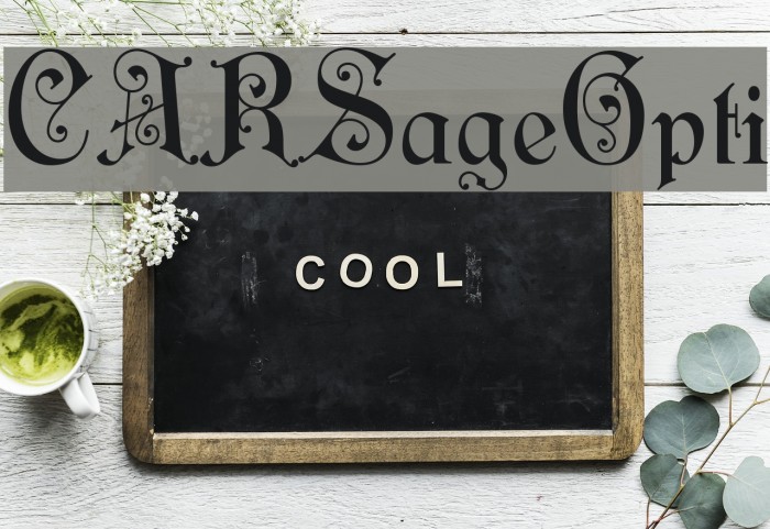 CARSageOpti Font examples